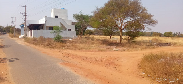Vacant land Tirupur