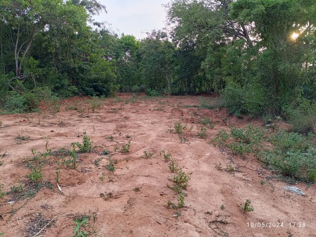 Plat for sale 19.5 cent