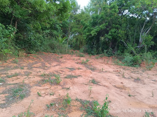 Plat for sale 19.5 cent