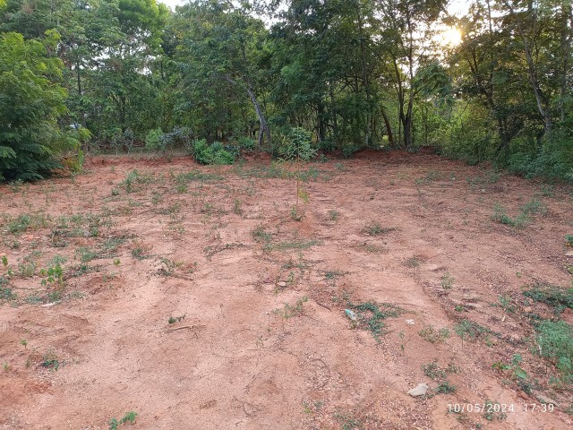 Plat for sale 19.5 cent