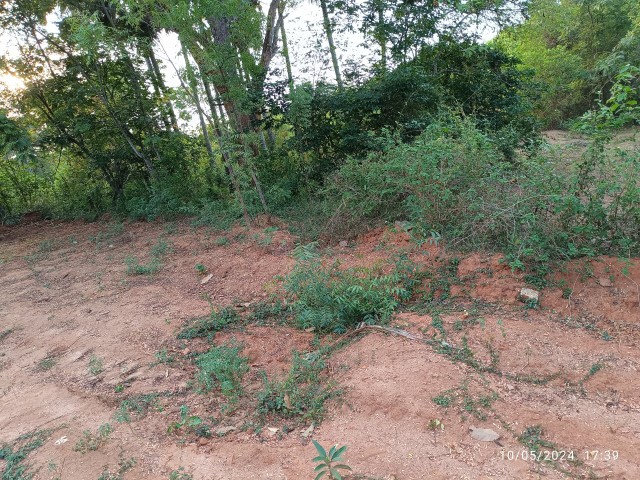 Plat for sale 19.5 cent