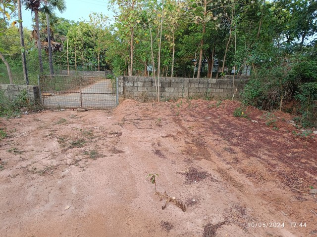 Plat for sale 19.5 cent