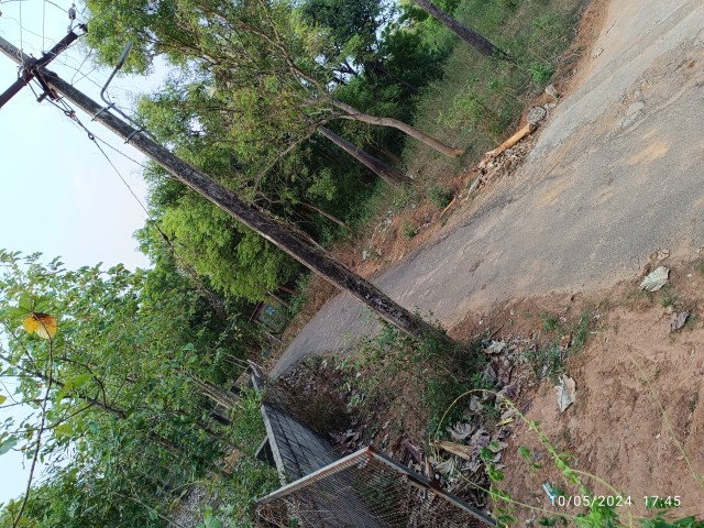 Plat for sale 19.5 cent