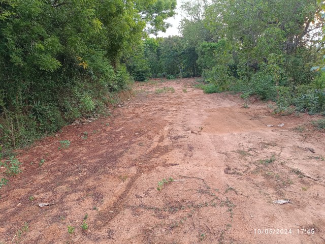 Plat for sale 19.5 cent