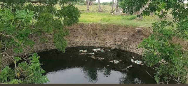 Low budget plot for sale near chengelpattu