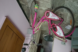 BSA LADY BIRD HAZEL NEW BICYCLE 