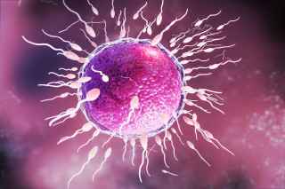 Top 5 IVF Center in India – Leading Fertility Experts